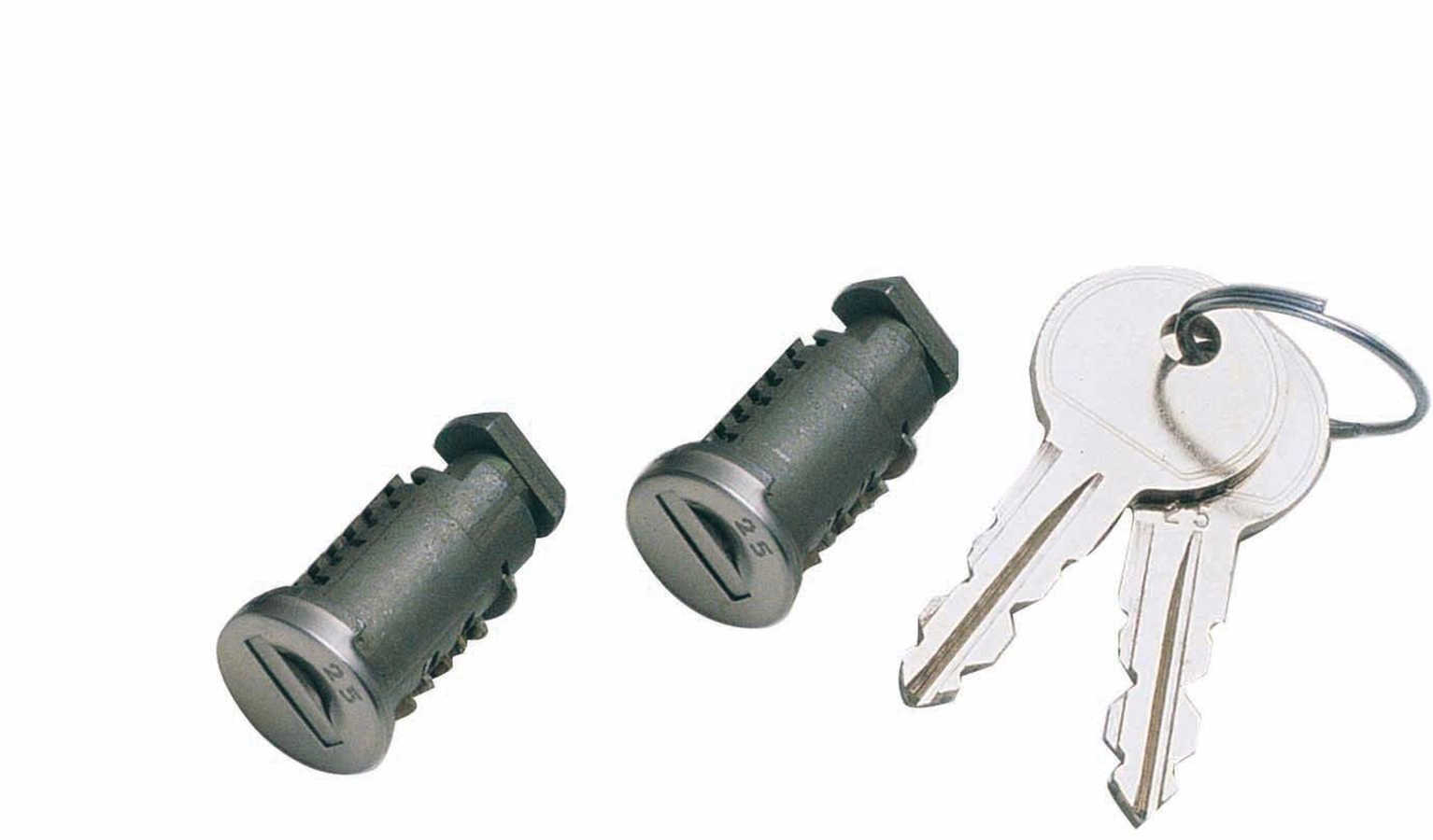 Pro rack locks CVL01